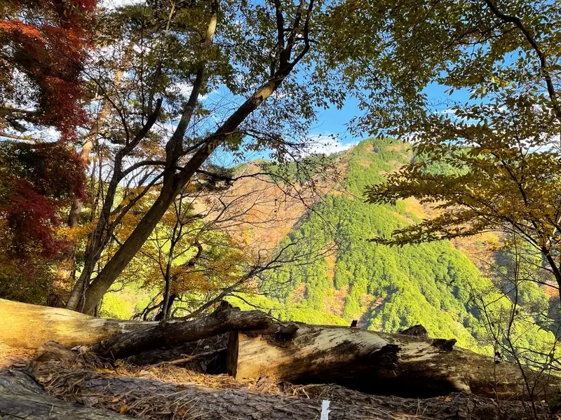きいろや赤の混じった山肌