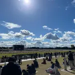 競馬場のコース前の芝生 快晴