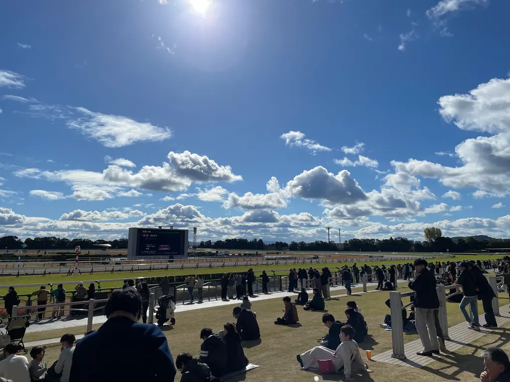競馬場のコース前の芝生 快晴