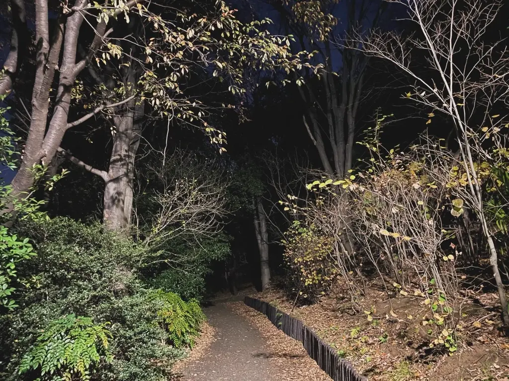 闇に続く道