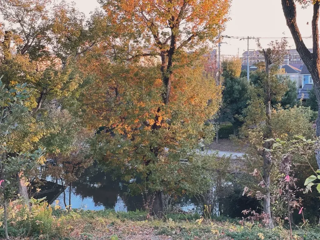 池