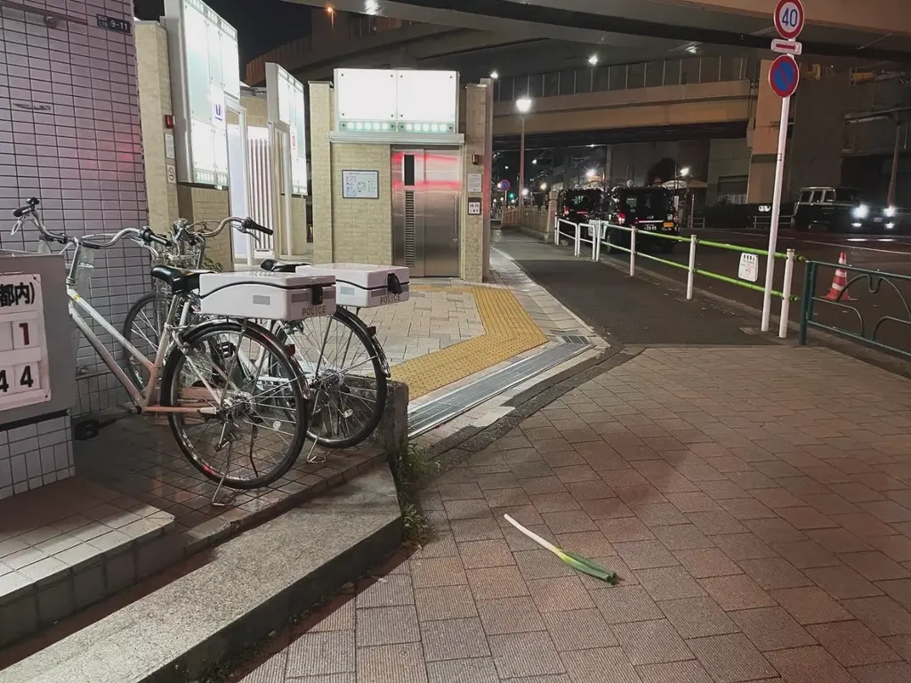 交番前に謎のネギが落ちている
