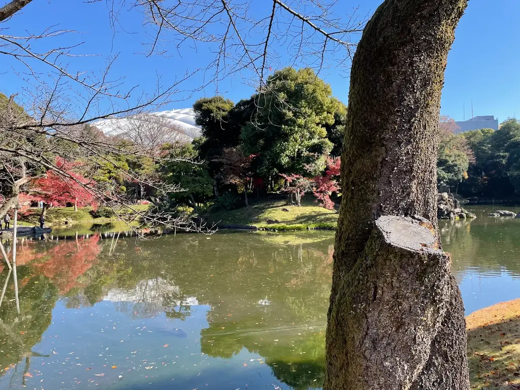 庭園風景 目の前に大きな池がある