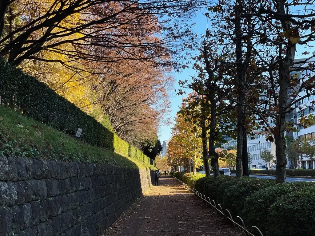 御所の側道