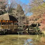 公園内の池 屋根付きの休憩所がある