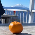 みかんと富士山
