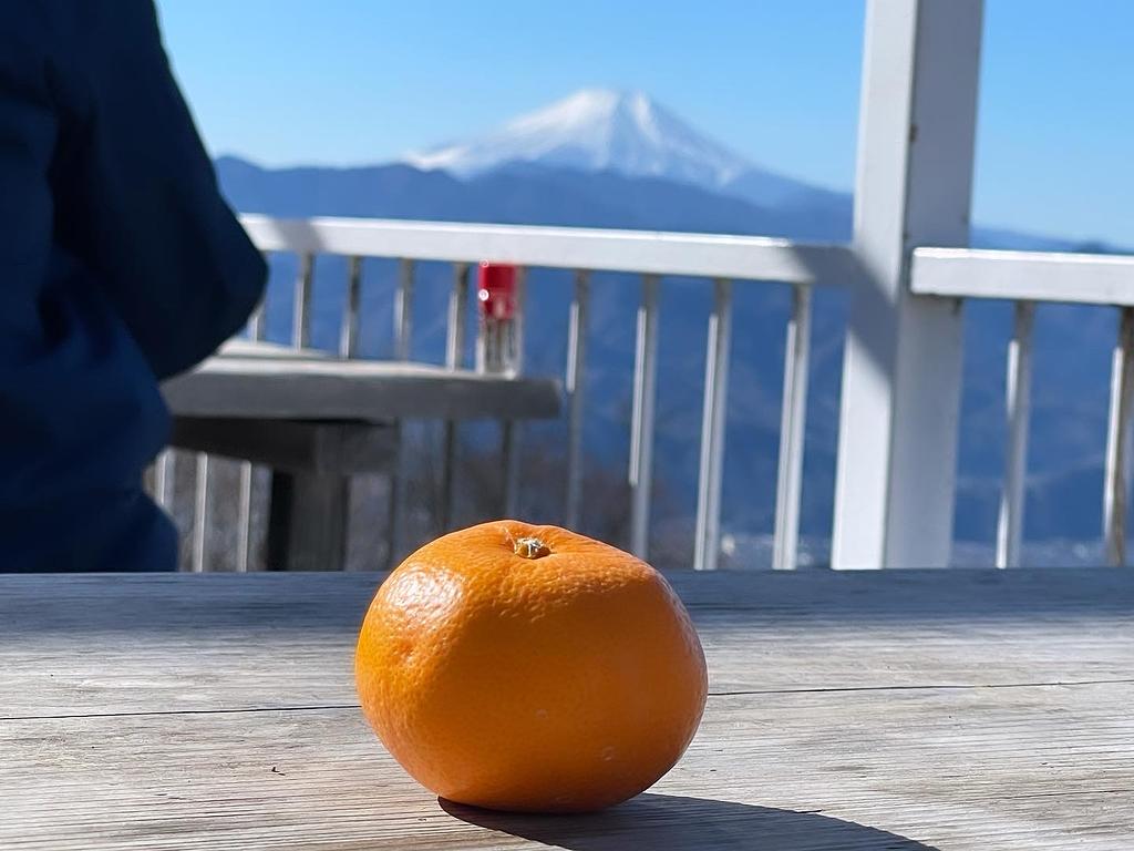 みかんと富士山