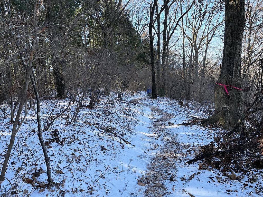 登山道にうっすら雪が積もってる