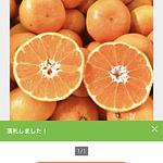 ヤフオクのスクショ みかんを落札している