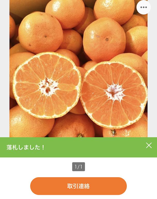 ヤフオクのスクショ みかんを落札している