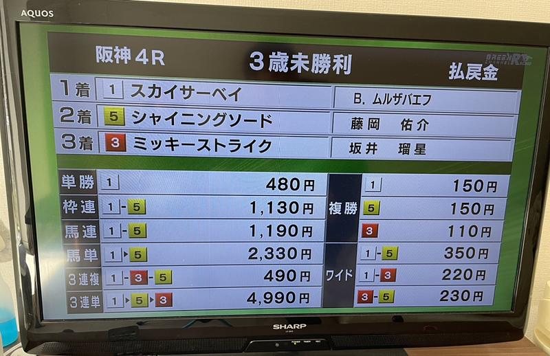 阪神4R 着順1(スカイサーベイ)-5-3
