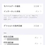 設定画面 主回線と副回線が表示されてる