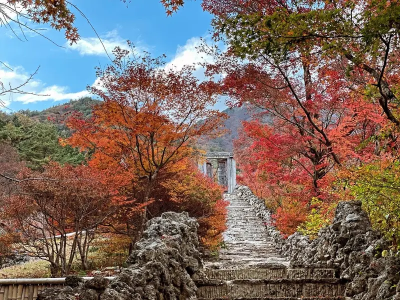 紅葉の綺麗な階段