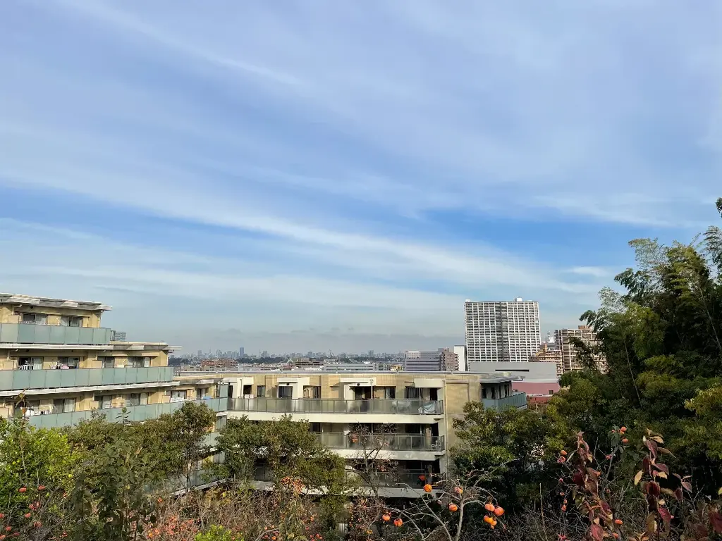 高台からの風景