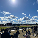 競馬場のコース前の芝生 快晴